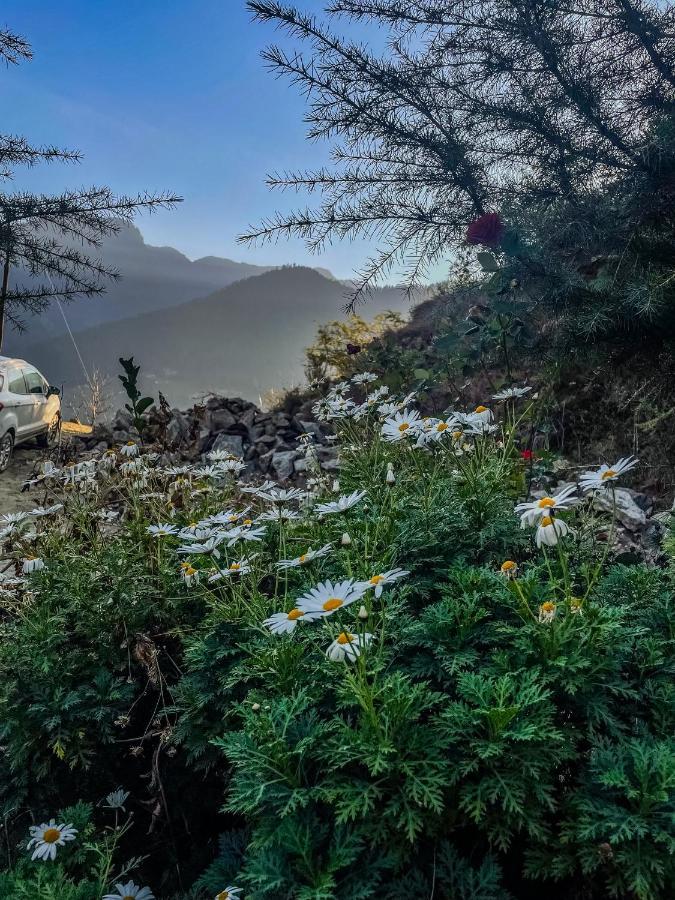 The Void - Tirthan Valley Gushaini Exterior photo